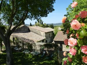 Hebergement L'Enclos du Micocoulier : photos des chambres
