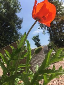 Hebergement L'Hotie de Broceliande : photos des chambres
