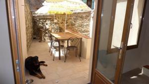 Hebergement L'Esprit du vallon de Berlou : photos des chambres