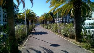 Appartement 8 Avenue de Banyuls-Sur-Mer : photos des chambres