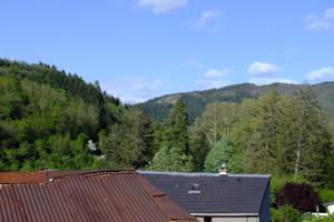Appartements Coeur de Village : photos des chambres
