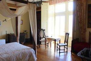 Chambres d'hotes/B&B Chateau de Villeneuve : photos des chambres