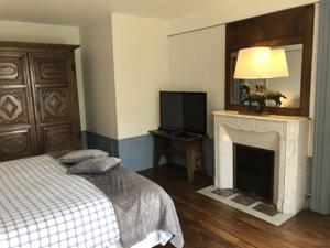 Chambres d'hotes/B&B Chateau La Rametiere : photos des chambres