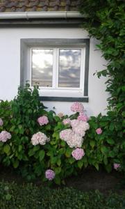 Hebergement Moulin de Corneille : photos des chambres