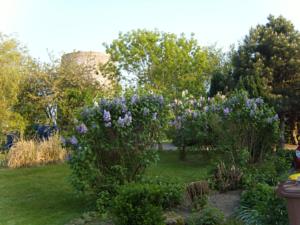 Hebergement Moulin de Corneille : photos des chambres