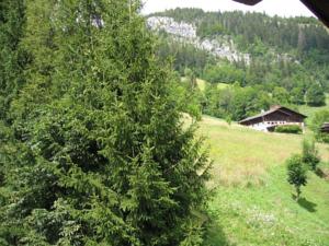 Appartement Studio Bel'Alp : photos des chambres