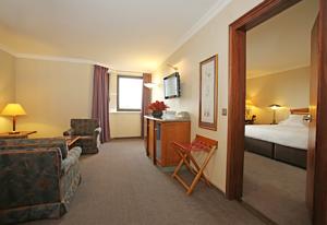 Millennium Hotel Paris Charles De Gaulle : Suite Studio avec Lit Double