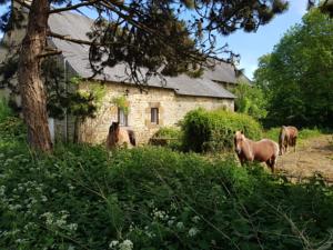 Hebergement Manoir de Vains : Maison 3 Chambres