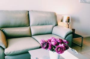 Appartement Cabourg 