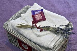 Chambres d'hotes/B&B Un Mas en Ville : photos des chambres
