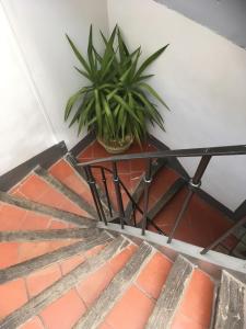 Appartement Saint-Sauveur : Appartement avec Balcon