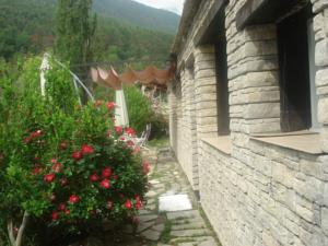 Hebergement Aristochats : photos des chambres