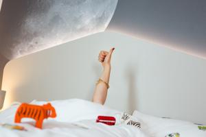 Hotel ibis Styles Paris Charles de Gaulle Airport : photos des chambres