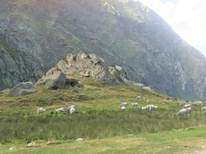 Grand Appartement Vicdessos PYRENEES ARIEGEOISES : photos des chambres
