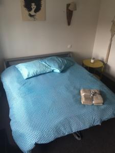Appartement Studio Sainte Marie la Blanche : photos des chambres