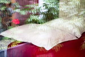 Hotel Boissiere : photos des chambres
