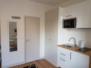 Appartement LE RELAIS D'ANJOU : Studio