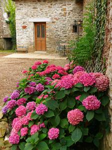 Hebergement The Gardener's Cottage at Chateau Le Mur : photos des chambres
