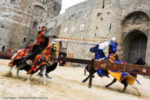 Hebergement Authentic Knight's Templar Chamber at Chateau Le Mur : photos des chambres