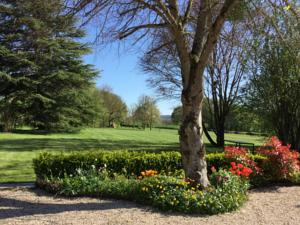 Hebergement Le Studio Vert : photos des chambres