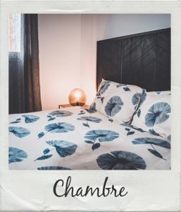 Appartement Le Lotus**** : photos des chambres
