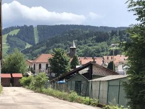 Hebergement Chalet des Musiciens : photos des chambres