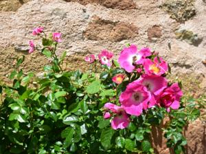 Hebergement Maison De Vacances - Rueyres : photos des chambres
