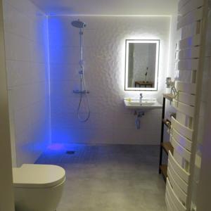 Europe Hotel Haguenau Strasbourg Nord : photos des chambres
