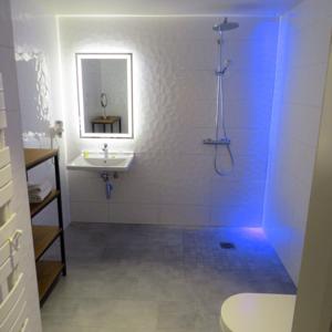 Europe Hotel Haguenau Strasbourg Nord : photos des chambres