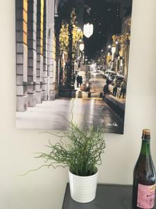 Appartement F2 Cosis Nancy : photos des chambres
