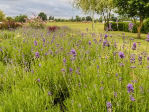Hebergement Domaine Le Perrot : Maison de Vacances Six Chambres