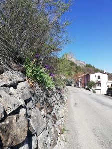 Chambres d'hotes/B&B Gites les Tilleuls : photos des chambres