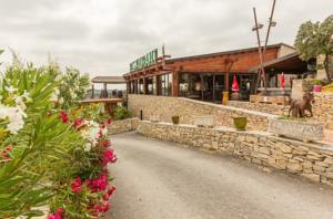 Hebergement Team Holiday - Camping Mer et Camargue : photos des chambres