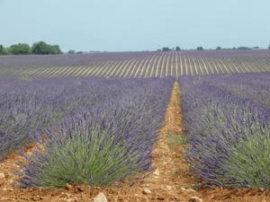 Hebergement le colombier : photos des chambres