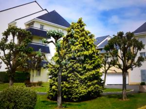 Appartement Apartment LE PETIT NID NORMAND : photos des chambres