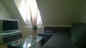 Appartement Confortable 2 pieces claire et mode : photos des chambres