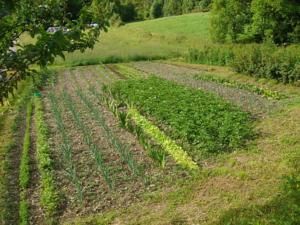 Hebergement Les Clarines Gite a la Ferme : photos des chambres
