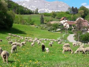 Hebergement Les Clarines Gite a la Ferme : photos des chambres