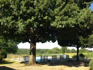 Hebergement Le Domaine du Bel Air : photos des chambres