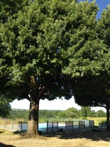 Hebergement Le Domaine du Bel Air : photos des chambres