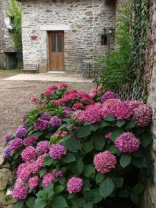 Hebergement 'Le Archeologist' Apartment at Chateau Le Mur : photos des chambres