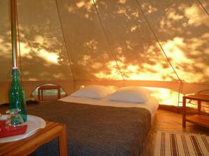 Hebergement Camping Etang Du Camp : Tente
