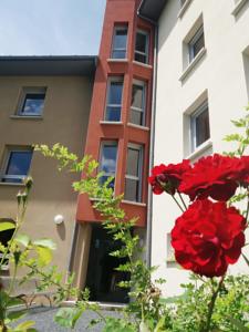 Hebergement Residence du pays de Roquefort : photos des chambres