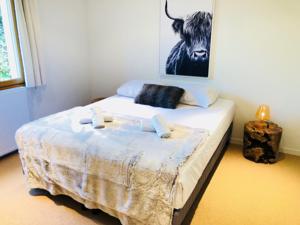 Hebergement Le Vivier : photos des chambres
