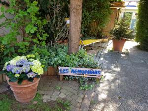 Hebergement Les Nenuphars : photos des chambres