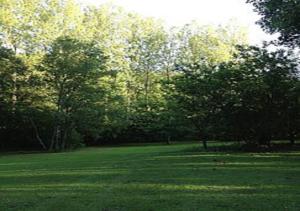 Hebergement gite de la foret : photos des chambres