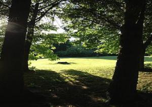 Hebergement gite de la foret : photos des chambres