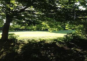 Hebergement gite de la foret : photos des chambres