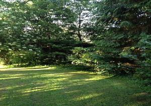 Hebergement gite de la foret : photos des chambres