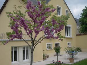 Hebergement 54 AV ROGERS MARTIN DU GARD : Chambre Double - Vue sur Jardin